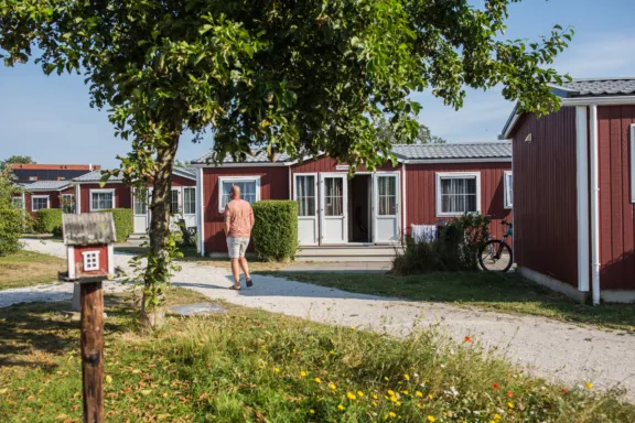 Beschut veld terras autovrij park zomer Duinbungalow Tjermelan Terschelling Recreatie