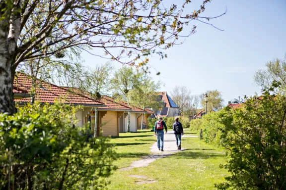 Brede paden park Villabungalow whirlpool Tjermelan Terschelling