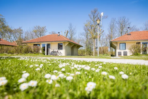 Grasveld met margrietjes natuurvriendelijk beheer Villabungalow houtkachel whirlpool Tjermelan Terschelling