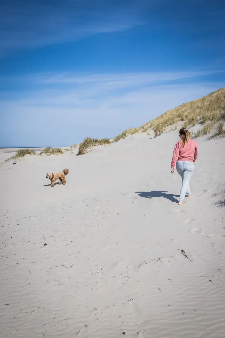 Huisje Terschelling met hond