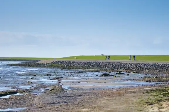 Faber Terschelling laag 59