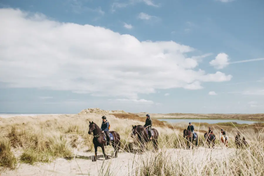 Terschelling Hoorn buitenrit paarden Puur Terschelling Stella Dekker Fotografie 20